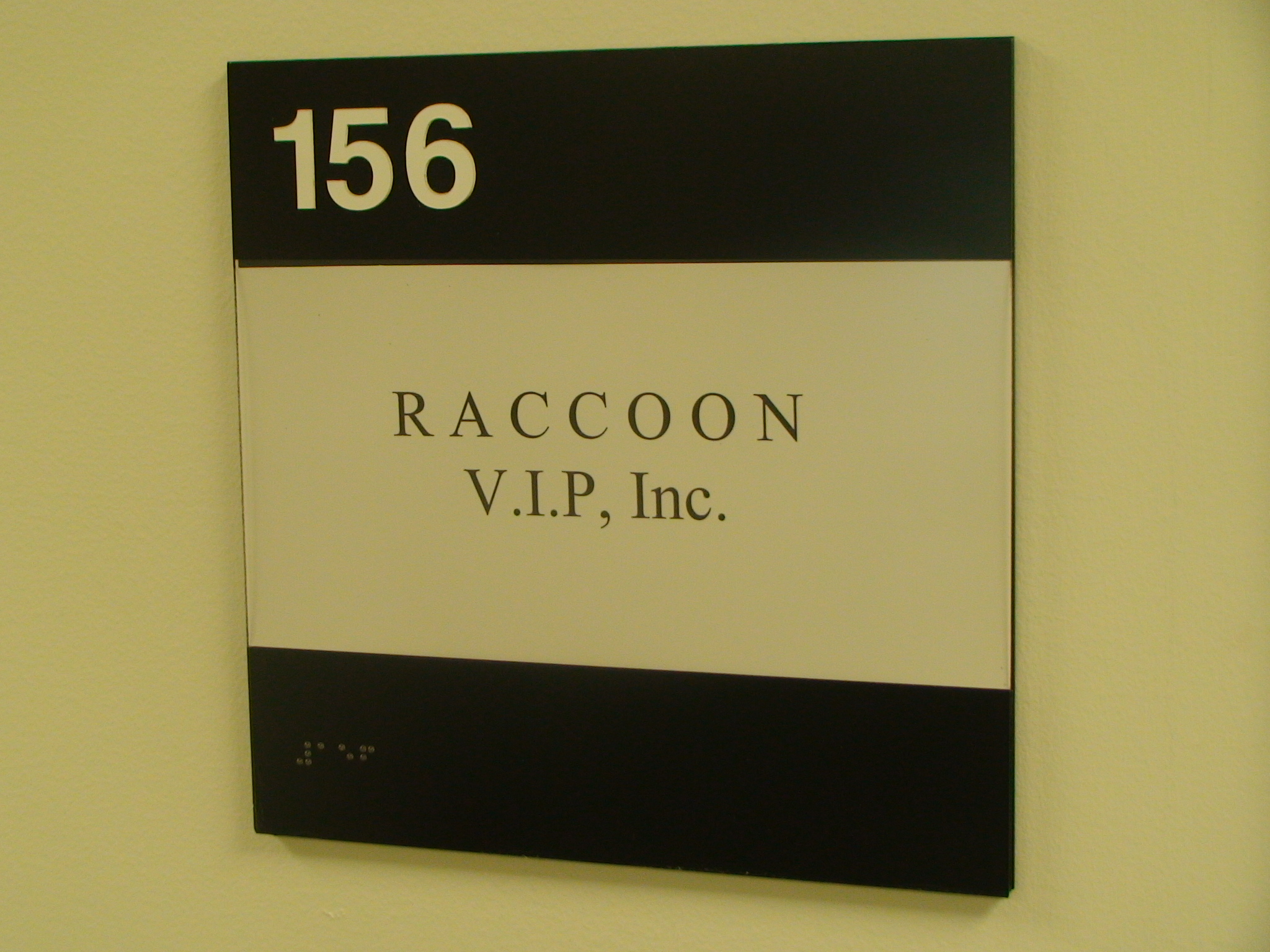 Raccoon Space